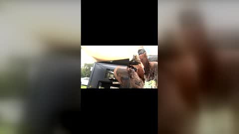 captain_deanos online show from February 13, 2026, 10:06 pm