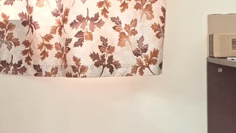 captian juicyprecum online show from March 2, 2025, 7:54 am