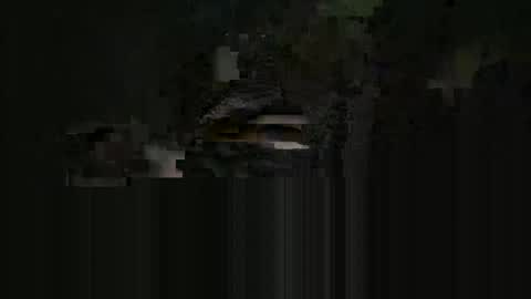 Snapshot of cardie chatting on May 16, 2026, 4:09 am supersexycardie online show from May 16, 2026, 4:09 am