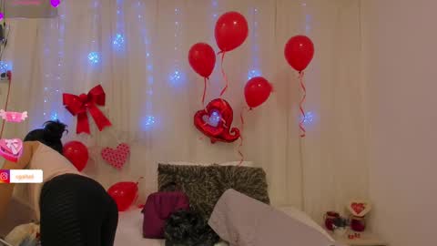 carolina_gaita online show from February 17, 2025, 11:55 am