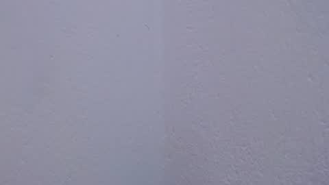 Snapshot of carolina_zabala_19 chatting on July 18, 2026, 5:06 pm carolina_zabala_19 online show from July 18, 2026, 5:06 pm