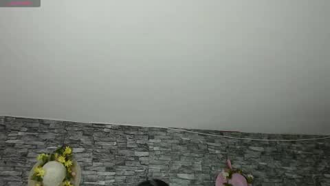 Snapshot of carolinajamess chatting on November 4, 2025, 3:16 am Camelia online show from November 4, 2025, 3:16 am