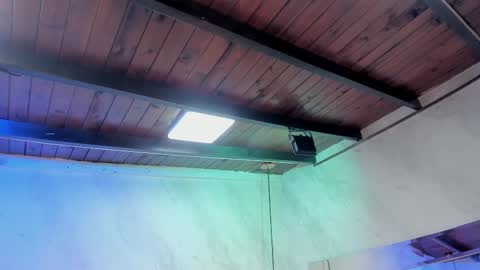 Carolina online show from February 1, 2026, 3:27 am