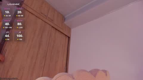 Snapshot of carolinna_ chatting on February 18, 2026, 1:45 am carolinna_ online show from February 18, 2026, 1:45 am