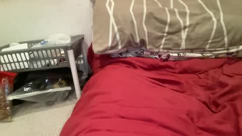 Snapshot of casanovacasaa chatting on February 20, 2025, 7:19 pm casanovacasaa online show from February 20, 2025, 7:19 pm