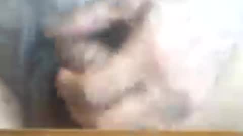 Snapshot of castells chatting on June 16, 2026, 3:25 pm castells online show from June 16, 2026, 3:25 pm