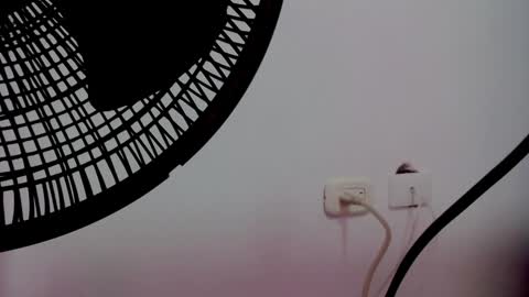 Snapshot of catalaia_stomm chatting on January 17, 2025, 1:24 pm catalaia_stomm online show from January 17, 2025, 1:24 pm