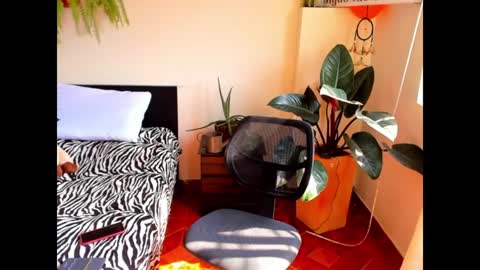 Cataina Lince online show from December 9, 2024, 7:07 pm