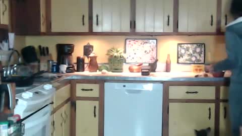 Snapshot of catalystic chatting on January 13, 2025, 9:41 am CATALYSTIC online show from January 13, 2025, 9:41 am