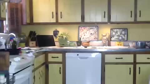 Snapshot of catalystic chatting on October 12, 2025, 3:33 pm CATALYSTIC online show from October 12, 2025, 3:33 pm