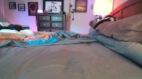 Snapshot of catnips_cabaret chatting on July 4, 2026, 5:19 pm some call me djcatnips some call me CC but i love it when you call me miss catnips online show from July 4, 2026, 5:19 pm