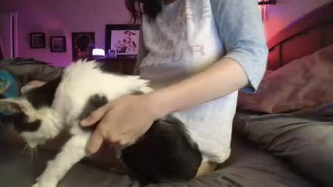 Snapshot of catnips_cabaret chatting on July 10, 2026, 3:00 am some call me djcatnips some call me CC but i love it when you call me miss catnips online show from July 10, 2026, 3:00 am