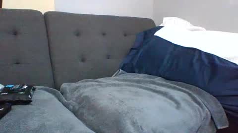 Snapshot of catsplace chatting on January 8, 2025, 1:52 pm catsplace online show from January 8, 2025, 1:52 pm