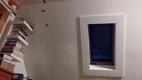 cbgbabc online show from February 14, 2026, 11:07 am