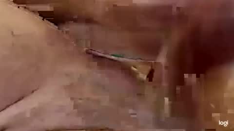 Snapshot of cfnmkinky28 chatting on January 1, 2025, 4:07 am cfnmkinky28 online show from January 1, 2025, 4:07 am