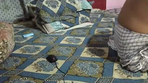 Snapshot of chadipluskhangarh chatting on July 23, 2026, 6:28 pm Stormydick online show from July 23, 2026, 6:28 pm
