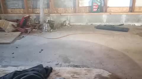 Snapshot of chadr1616 chatting on November 15, 2025, 3:52 pm chadr1616 online show from November 15, 2025, 3:52 pm