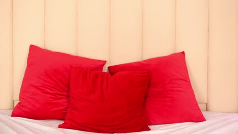 Snapshot of channelangeless chatting on February 8, 2025, 5:29 pm Channelangeless online show from February 8, 2025, 5:29 pm