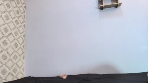 Snapshot of chantal_taylor_ chatting on March 10, 2025, 3:09 pm Raquel online show from March 10, 2025, 3:09 pm