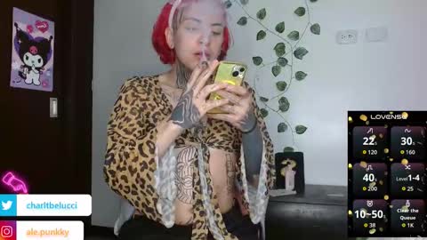 Ale punky online show from March 27, 2026, 12:05 pm