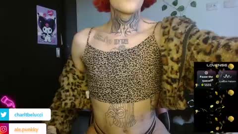 Ale punky online show from April 26, 2026, 10:07 pm