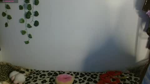 Snapshot of charlotbelucci_ chatting on May 13, 2026, 2:53 am Ale punky online show from May 13, 2026, 2:53 am