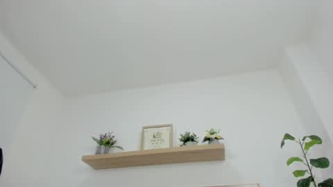 C H A R L O T E online show from March 6, 2026, 4:42 am