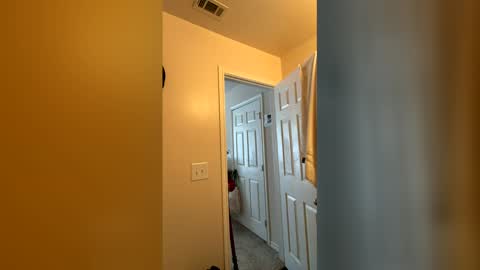 Chase2Attract online show from March 4, 2026, 6:03 pm