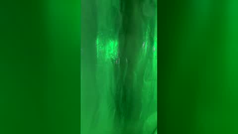 Chase2Attract online show from March 24, 2026, 2:44 pm