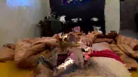 Snapshot of chasejase20333 chatting on February 2, 2026, 2:10 am chasejase20333 online show from February 2, 2026, 2:10 am