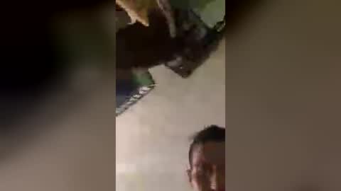 Snapshot of chasestrut1 chatting on August 5, 2026, 1:58 pm chasestrut1 online show from August 5, 2026, 1:58 pm