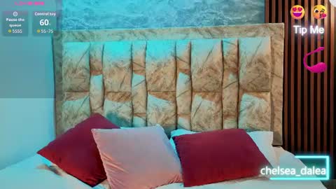 Snapshot of chelsea_dalea chatting on July 29, 2026, 9:46 pm chelsea_dalea online show from July 29, 2026, 9:46 pm
