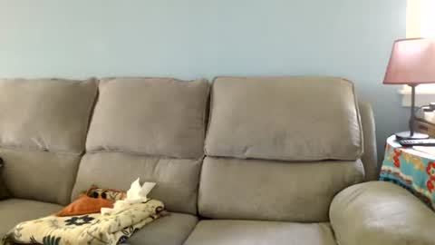 Chelsea online show from July 16, 2026, 1:50 pm