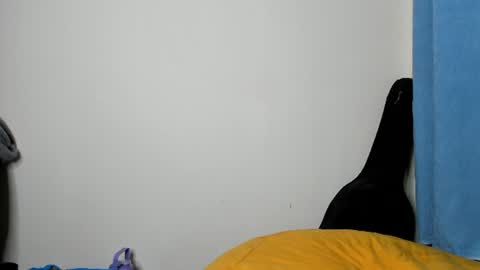 Snapshot of cherry_falls chatting on July 25, 2026, 10:29 pm cherry_falls online show from July 25, 2026, 10:29 pm