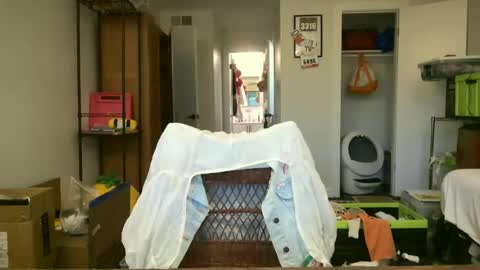 cherryrhett online show from June 29, 2026, 12:06 am