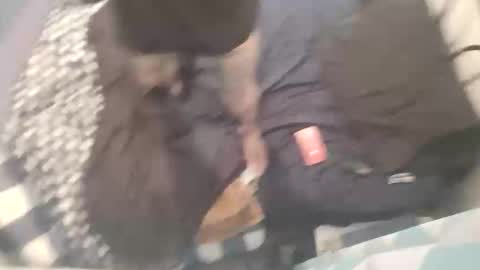 Snapshot of chev1981 chatting on October 15, 2025, 11:21 am Chevy online show from October 15, 2025, 11:21 am