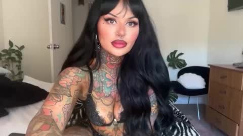 Chickhabit66 online show from March 12, 2026, 12:06 am