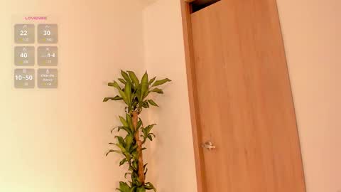    Schedule 7am to 2pm Col online show from February 6, 2026, 12:19 pm