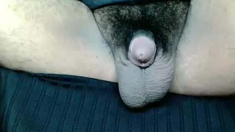 chinny_fuckdoll online show from November 19, 2025, 8:03 am