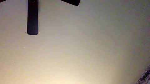 Snapshot of chippytits65 chatting on February 11, 2025, 4:33 am chippytits65 online show from February 11, 2025, 4:33 am