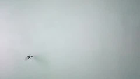 Snapshot of chispahot69 chatting on November 26, 2025, 7:53 am chispahot69 online show from November 26, 2025, 7:53 am