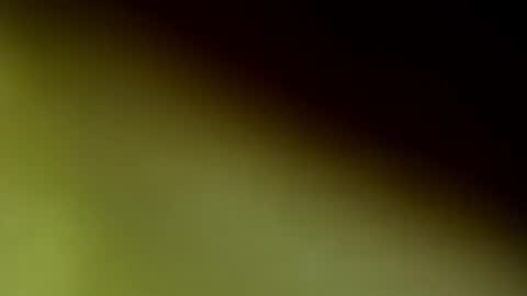 Snapshot of chloee_thompson chatting on September 20, 2025, 2:56 am ChloeeThompson online show from September 20, 2025, 2:56 am