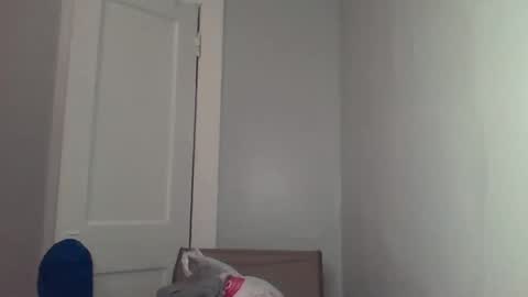 chocolatedolla online show from March 4, 2025, 2:27 am