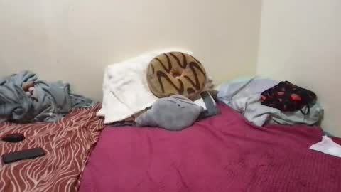 Snapshot of chris_jake1 chatting on March 14, 2026, 11:04 am chris_jake1 online show from March 14, 2026, 11:04 am