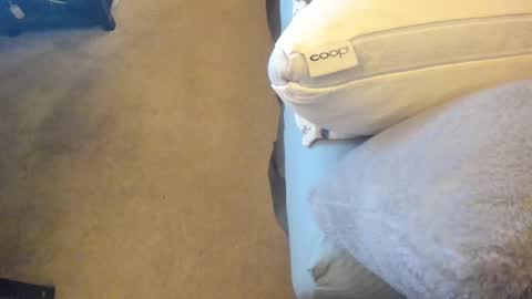 Chris Martinson XXX online show from February 27, 2025, 12:43 am