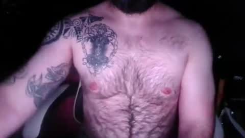 chub bear 99 online show from April 29, 2026, 2:26 am