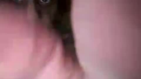 Snapshot of chuckied6969 chatting on July 22, 2026, 3:04 pm chuckied6969 online show from July 22, 2026, 3:04 pm