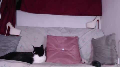 Snapshot of cicimom chatting on January 24, 2025, 3:32 am cicimom online show from January 24, 2025, 3:32 am