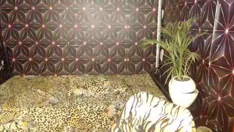 Snapshot of cindyts09 chatting on January 7, 2025, 3:35 am Cindy online show from January 7, 2025, 3:35 am