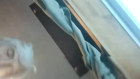 Snapshot of clarenceoyes722626 chatting on March 7, 2026, 9:56 pm clarenceoyes722626 online show from March 7, 2026, 9:56 pm